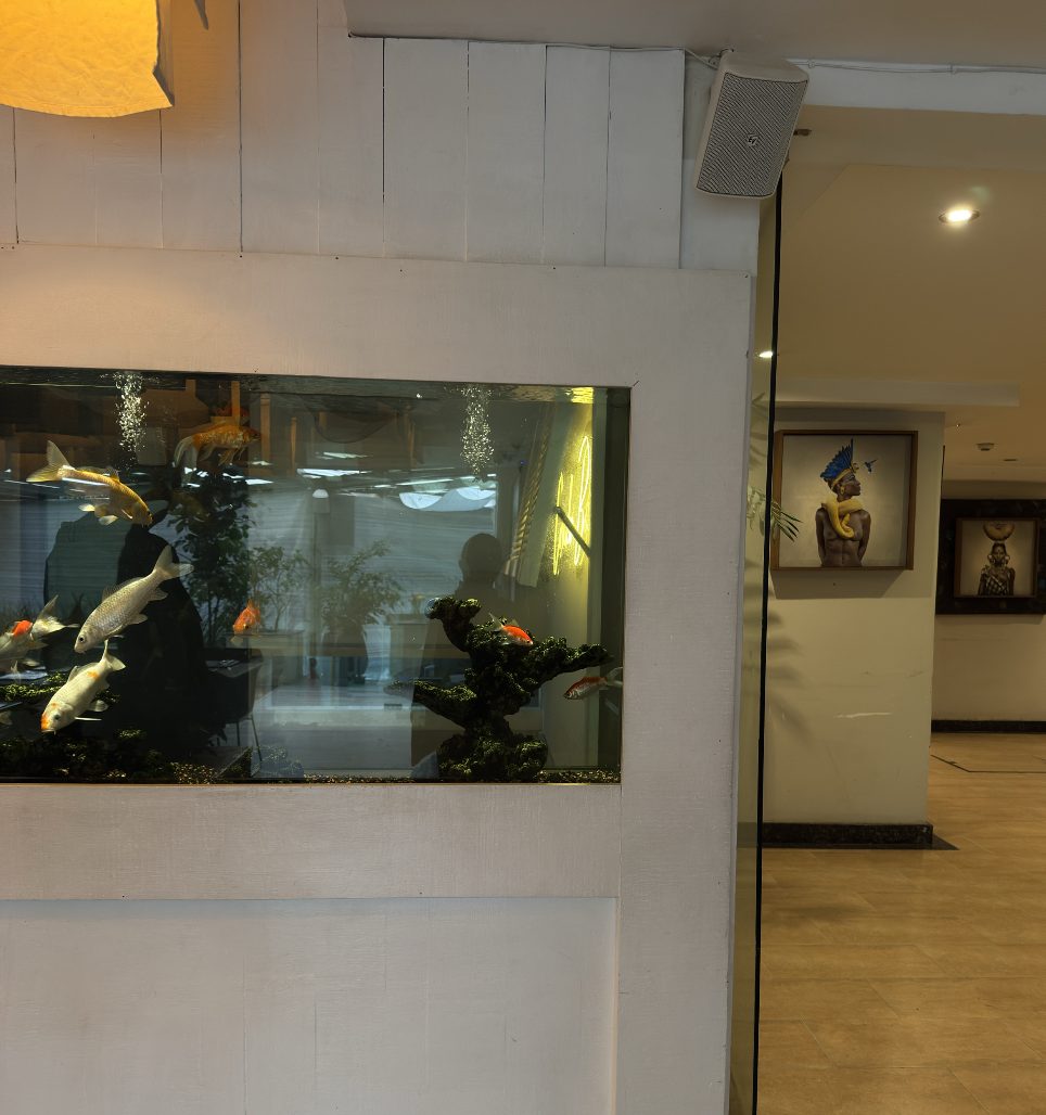 Aquarium with two framed works in the corridor beyond